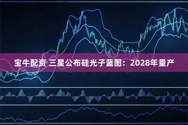 宝牛配资 三星公布硅光子蓝图：2028年量产