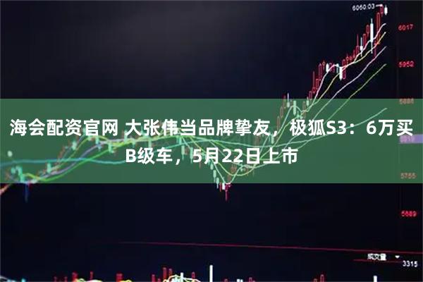 海会配资官网 大张伟当品牌挚友,极狐S3:6万买B级车,5月22日上市