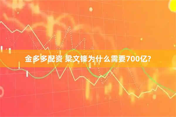 金多多配资 梁文锋为什么需要700亿?